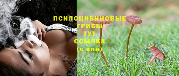2c-b Гусь-Хрустальный