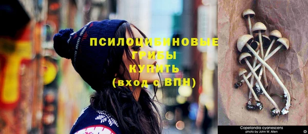 2c-b Гусь-Хрустальный